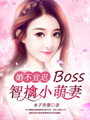 鲻˳٣BossС